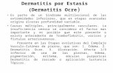 Dermatitis Por Estasis