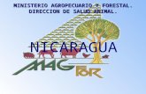 Presentacion Nicaragua2