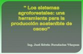 Sistemas Agroforestales Produccion Sostenible de Cacao 2011