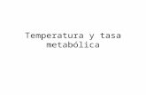 Temperatura y Tasa Metabolica