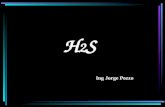 H2S - Ing. Jorge Pozzo
