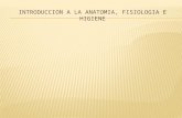 INTRODUCCION A LA ANATOMIA, FISIOLOGIA E HIGIENE.pptx