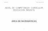 Nivel de Competencia Curricular Educacion Infantil