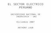 El Sector Electrico Peruano