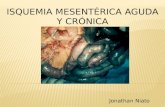 isquemia mesenterica