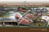 FUNIDES 2013 Disponibilidad y Uso Del Credito de Mediano y Largo Plazo en Nicaragua