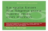 Lean Six Sigma Spanish