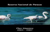 Plan Maestro 2003-2007 RN Paracas