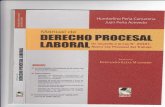 Manual- Procesal Laboral