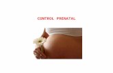 Control Prenatal(Rotafolio) (2)