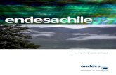 Endesa Informe Sostenbilidad 2012 .pdf