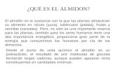 Presentacion 4 Tecnologia Del Almidon