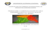 PRODUCCIÓN Y COMERCIALIZACIÓN DE CHILE HABANERO EN MÉXICO Y EL MUNDO