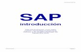 Introducción SAP R3