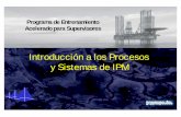13 Introducción a los Procesos y Sistemas de IPM