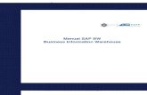 Manual Formación Técnico SAP BI - ESAP