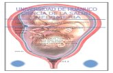 Monografia Rpm Embarazo Prolongado,Cacer de Uetro y Mama 2013