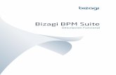 BizAgi - Descripción Funcional