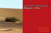Plantas_Sahara_Occidental - Usos Tradicionales