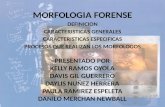 MORFOLOGIA FORENSE (1)