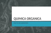 QUIMICA ORGANICA 01