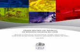 “Levantamiento, Análisis, Generación y Publicación de Información nacional sobre residuos Sólidos de Chile