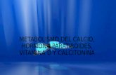Metabolismo Del Calcio, Hormona Paratiroides, Vitamina