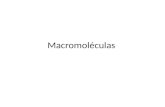 Macromoléculas resultados