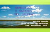 Humedales o Bañados del Uruguay