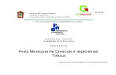 Proyecto Feria Mexicana de Ciencias e Ingenierias