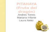 pitahaya presentacion (1)