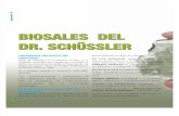 Bio Sales de Schussler Articulo en Revista