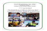 Pip_perfil Video-Vigilancia Viable