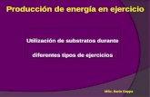 Produccion Energia Ejercicio (1)