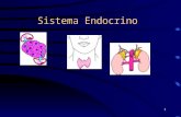 endocrino generalidades.ppt