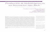 Hidrogeno en Biorreactor Bach