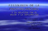 Fisiologia de La Prostaglandinas