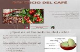Benicio Del Cafe