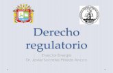 Derecho Regulatorio - Sector Energia