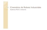 8.Cinematica Directa de Robots Industriales