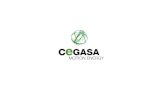 Grupo Cegasa-division Energia