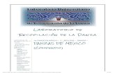 DANZAS DE MEXICO Laboratorio de Recopilación de la Danza.pdf