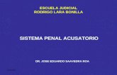 Sistema Penal Acusatorio Dr Saavedra Roa