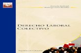 Derecho Laboral Colectivo - Colombia