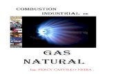 Combustión Industrial Gas Natural