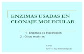 55323702 Enzimas Usadas en Clonaje Molecular2011 Biotech