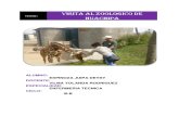 118463760 Vista a Zoologico de Huachipa