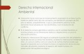 DERECHO INTERNACIÓNAL AMBIENTAL FINAL
