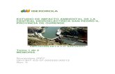 EIA hidroelectrica san pedro.pdf