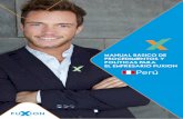 Manual Basico de Procedimientos y Politicas Peru
